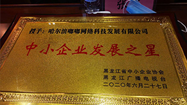 喜报丨哈尔滨黑龙江kok在线登陆官网
科技发展有限公司荣获“中小企业发展之星”